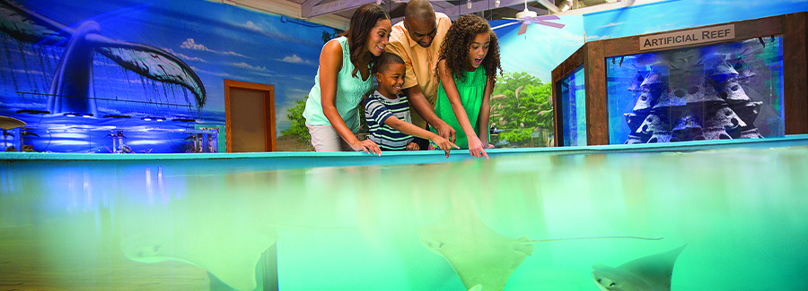 A family enjoys seeing and petting sting rays at the Marine Science Center in Ponce Inlet