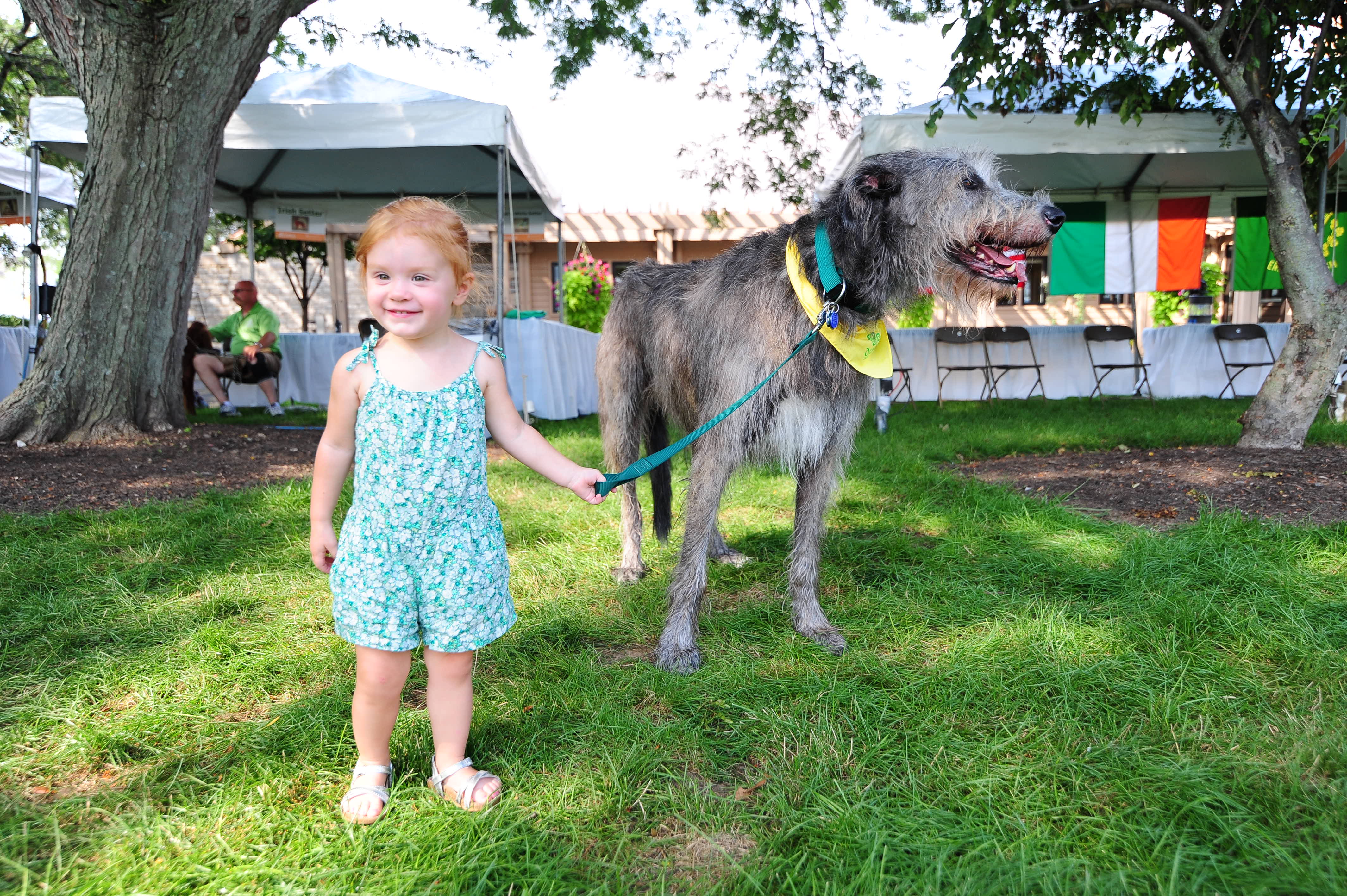 Little girl meets a Celtic Canine at the Dublin Irish Festival
