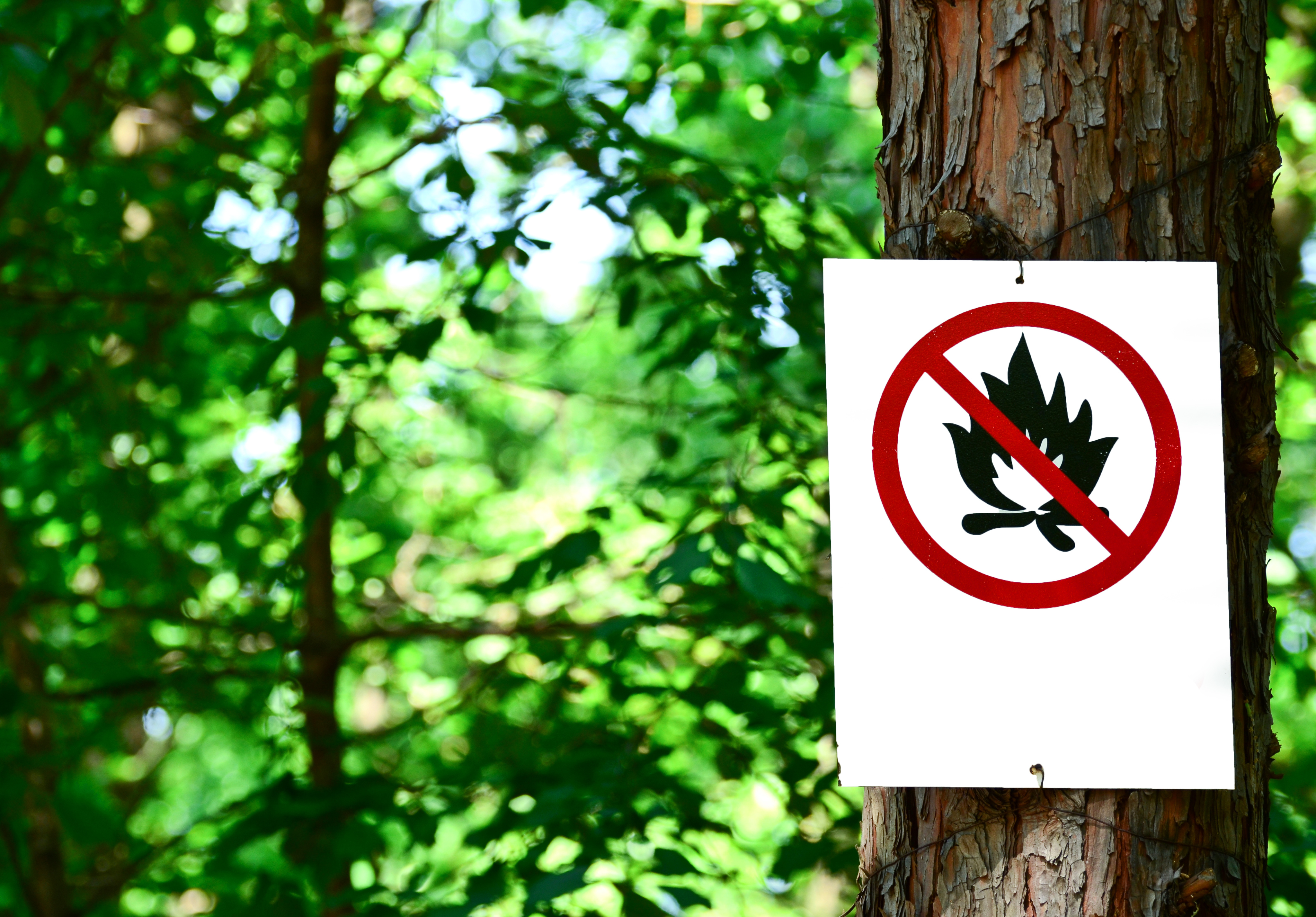 Предупреждающие знаки в лесу