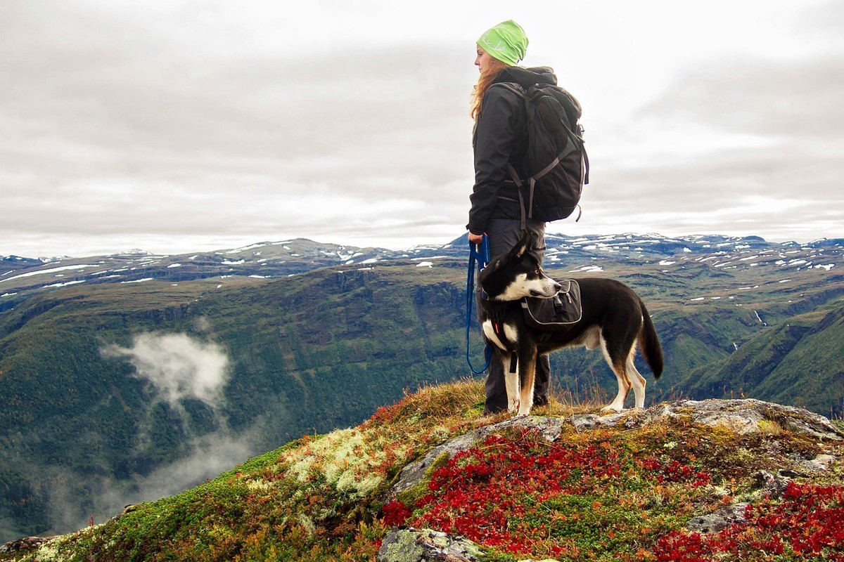 Hiking with Dog Durango