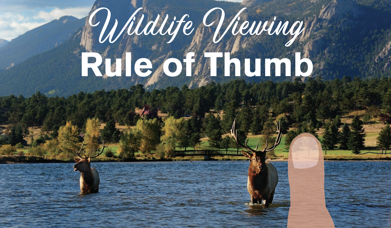 ruleofthumb