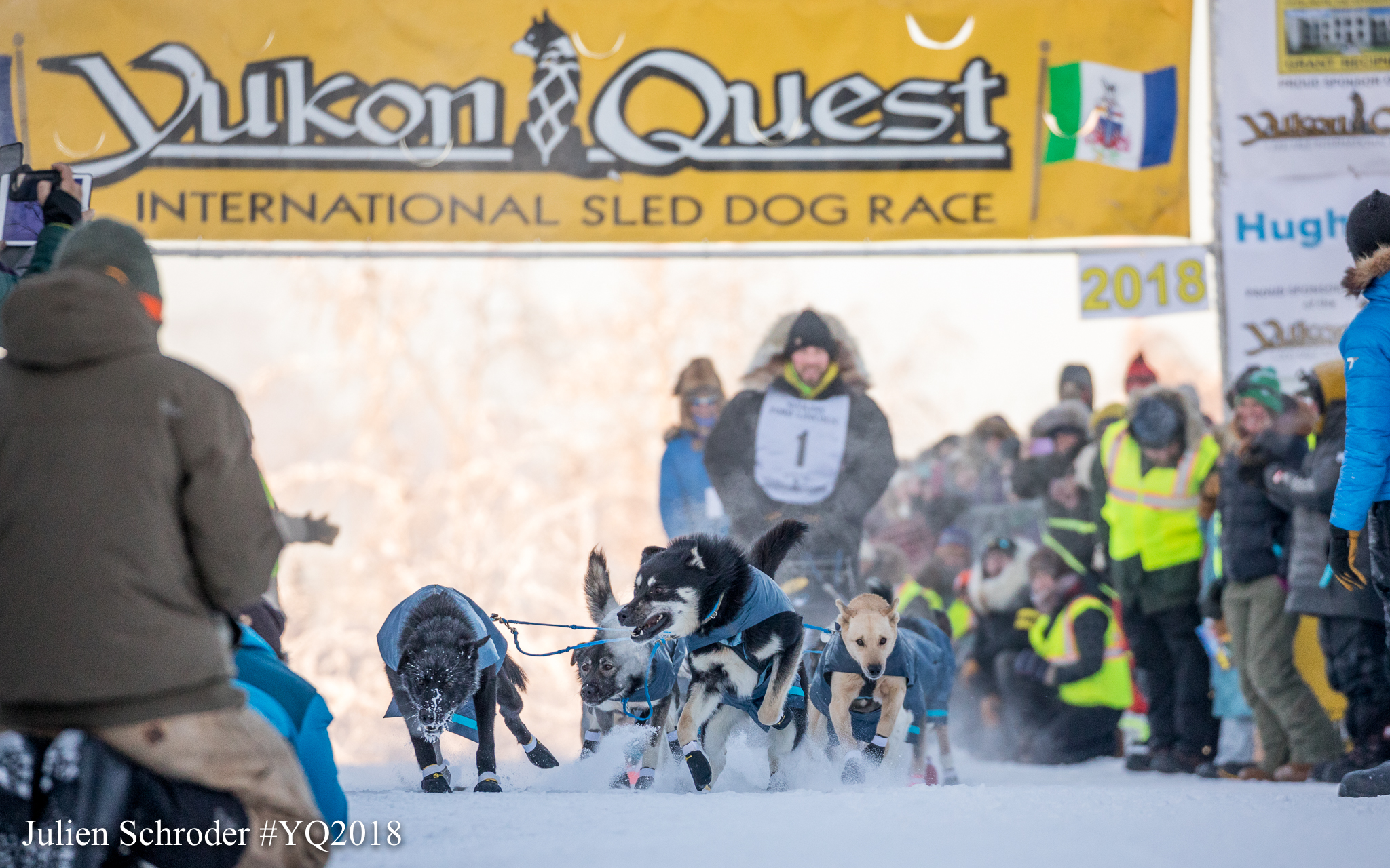 Yukon Quest Banner posted over a sled dog team pulling a musher at start of a race in sub-zero temps with spectators on the sidelines
