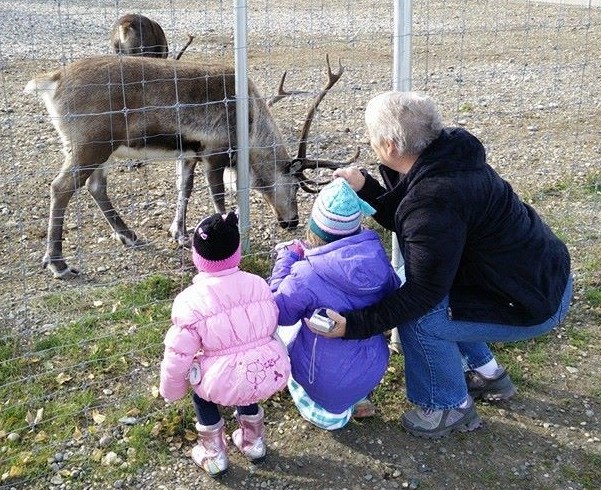 Children looking at Santa's Reindeer