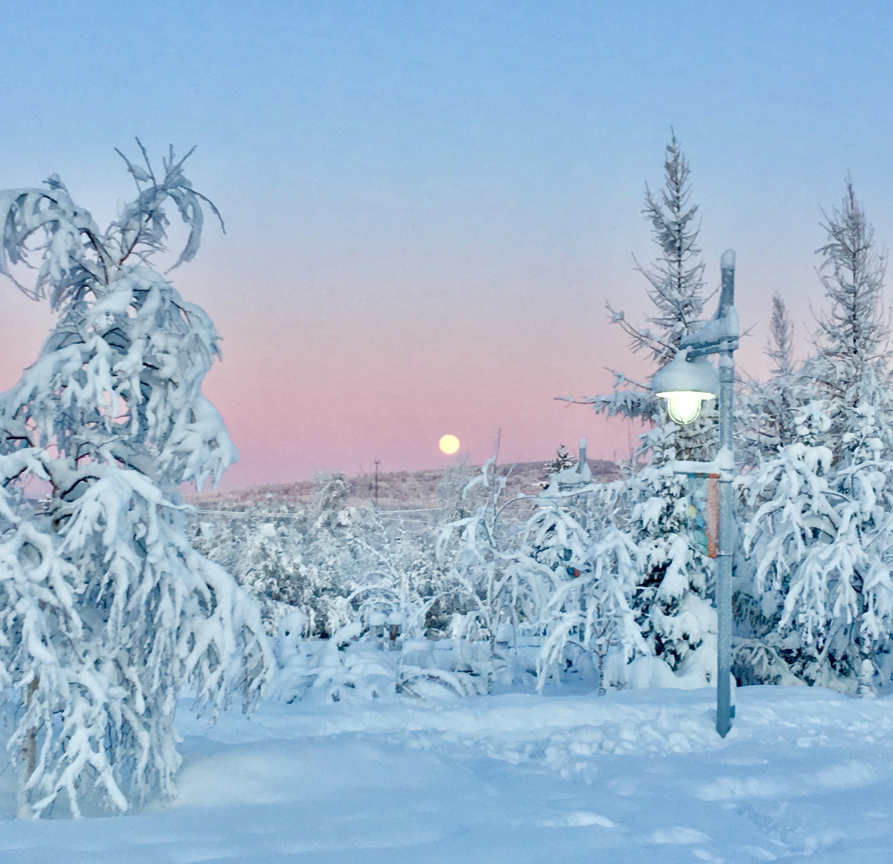 A full moon rising over a winter scene with a lamp post in foreground