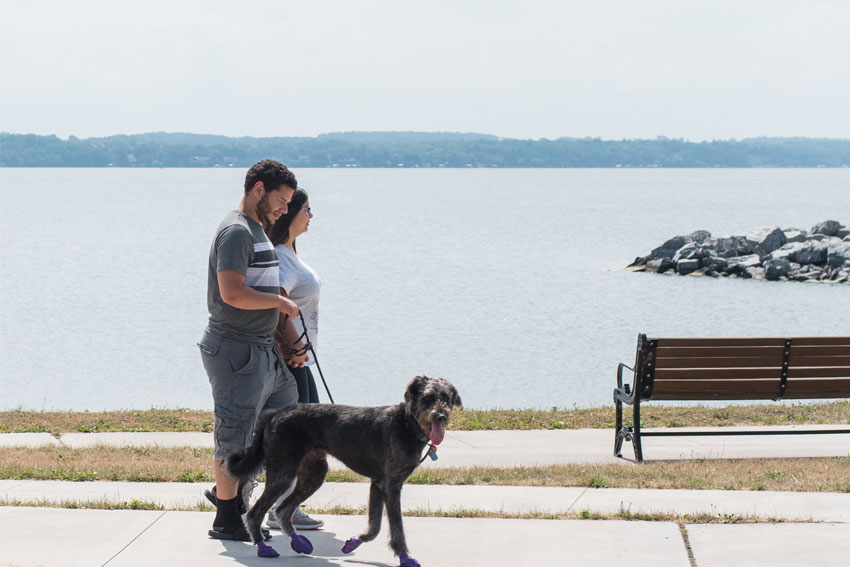 geneva-seneca-lake-dog-walking