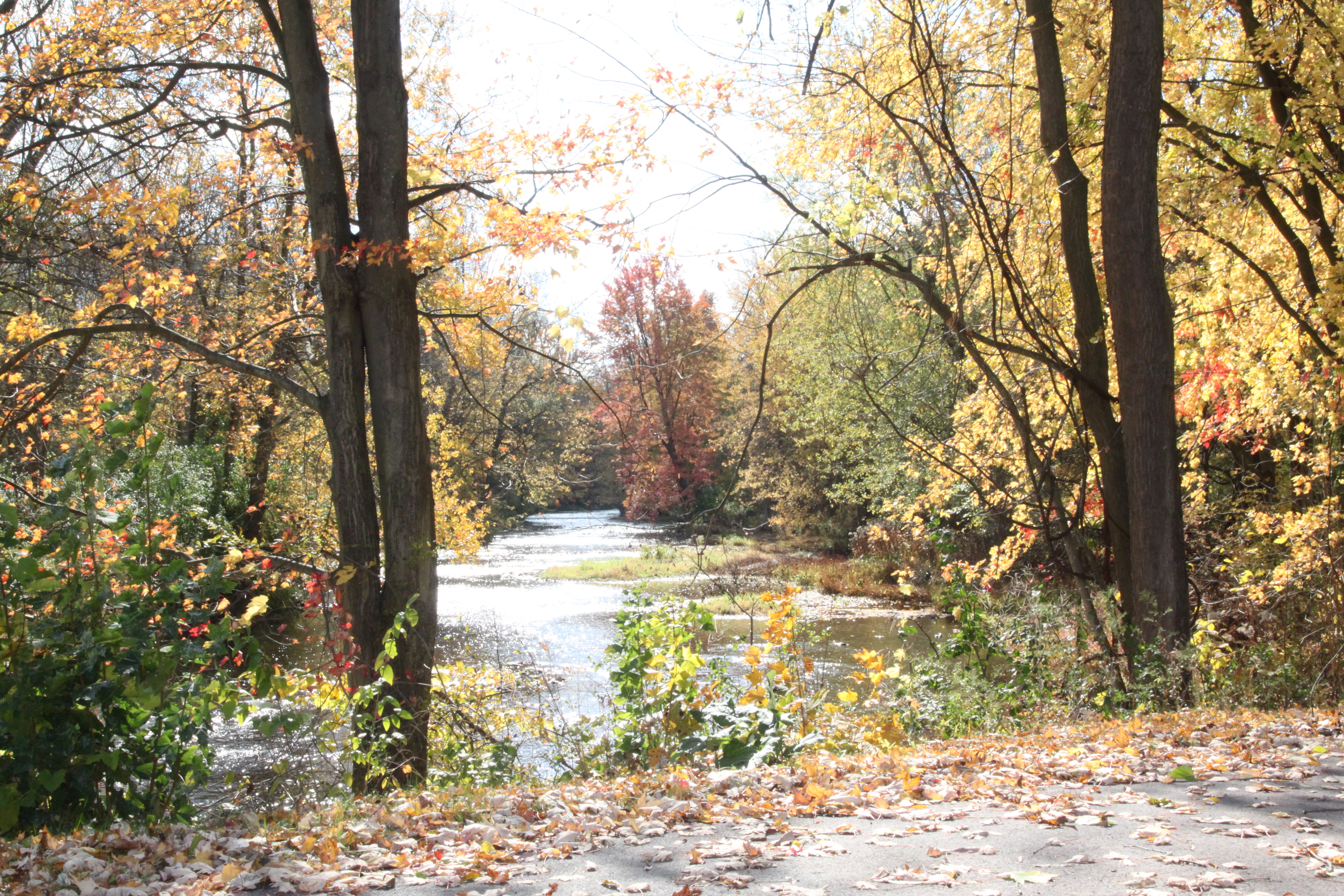 manchester-gateway-trail-fall