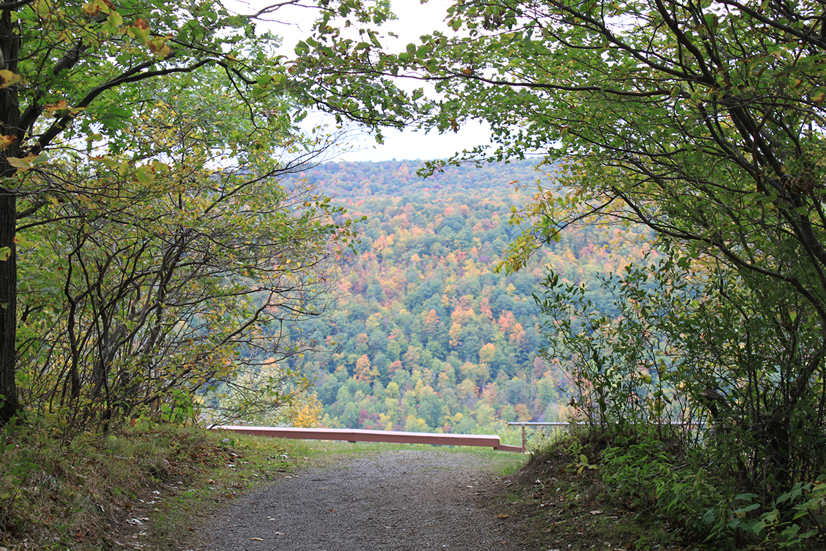 ontario-county-park-south-bristol-fall-jump-off