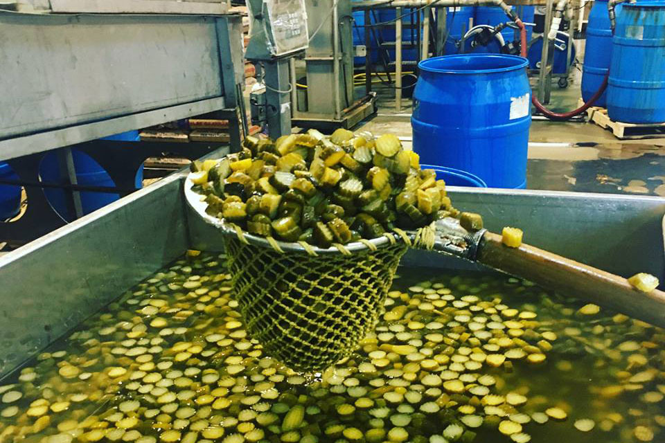 Sechler's Pickles in DeKalb County
