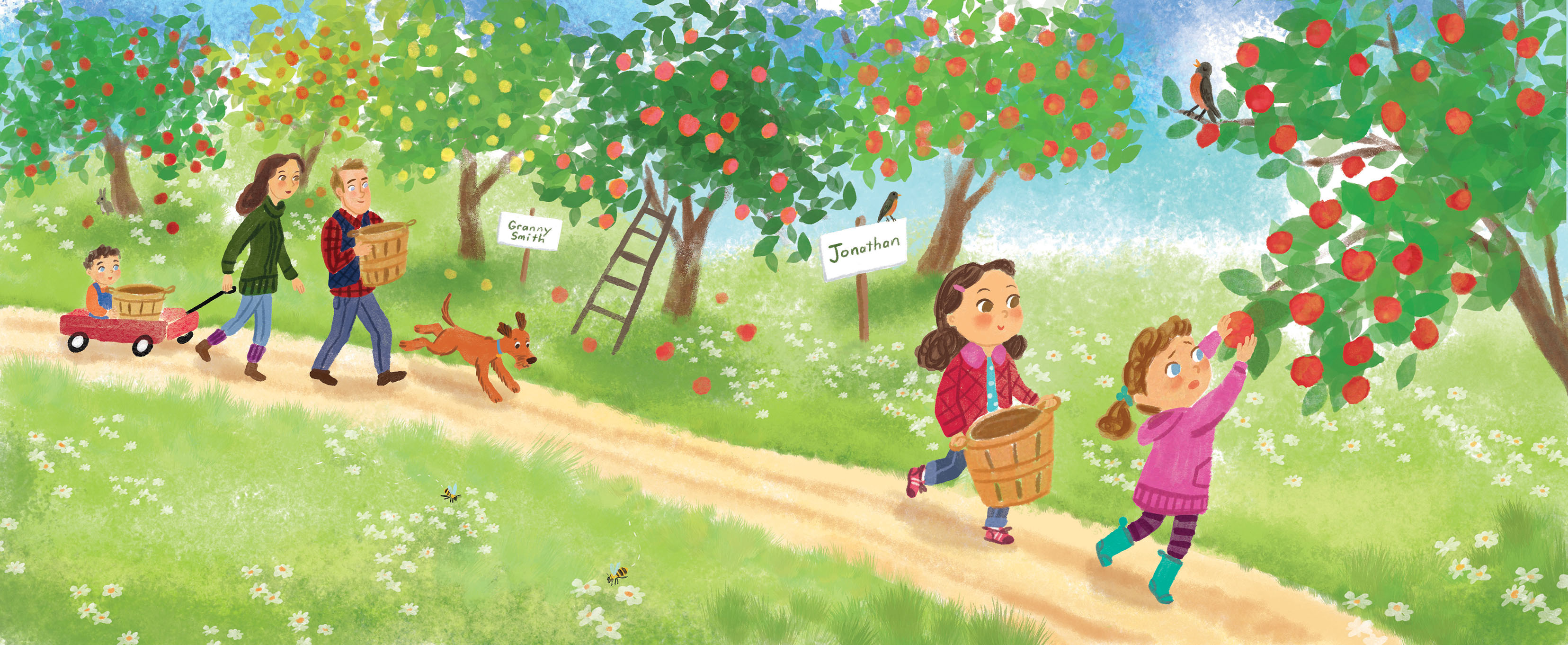Illustration by Talitha Shipman of a family at an apple orchard. Illustration is called "Applesauce Day"