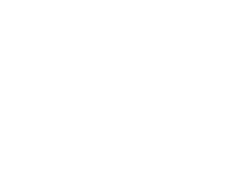 Professional Genealogists