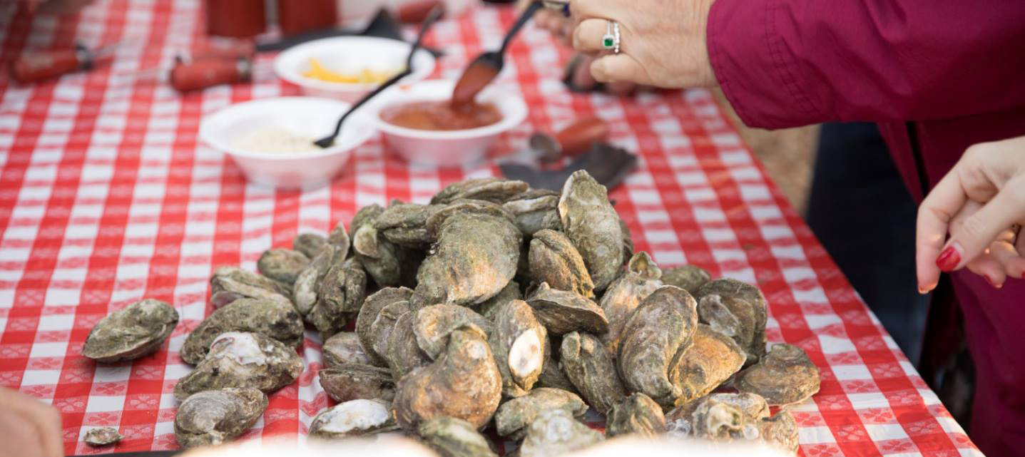 Local oysters await to be shucked at the annual St. Simons Land Trust Oyster Roast