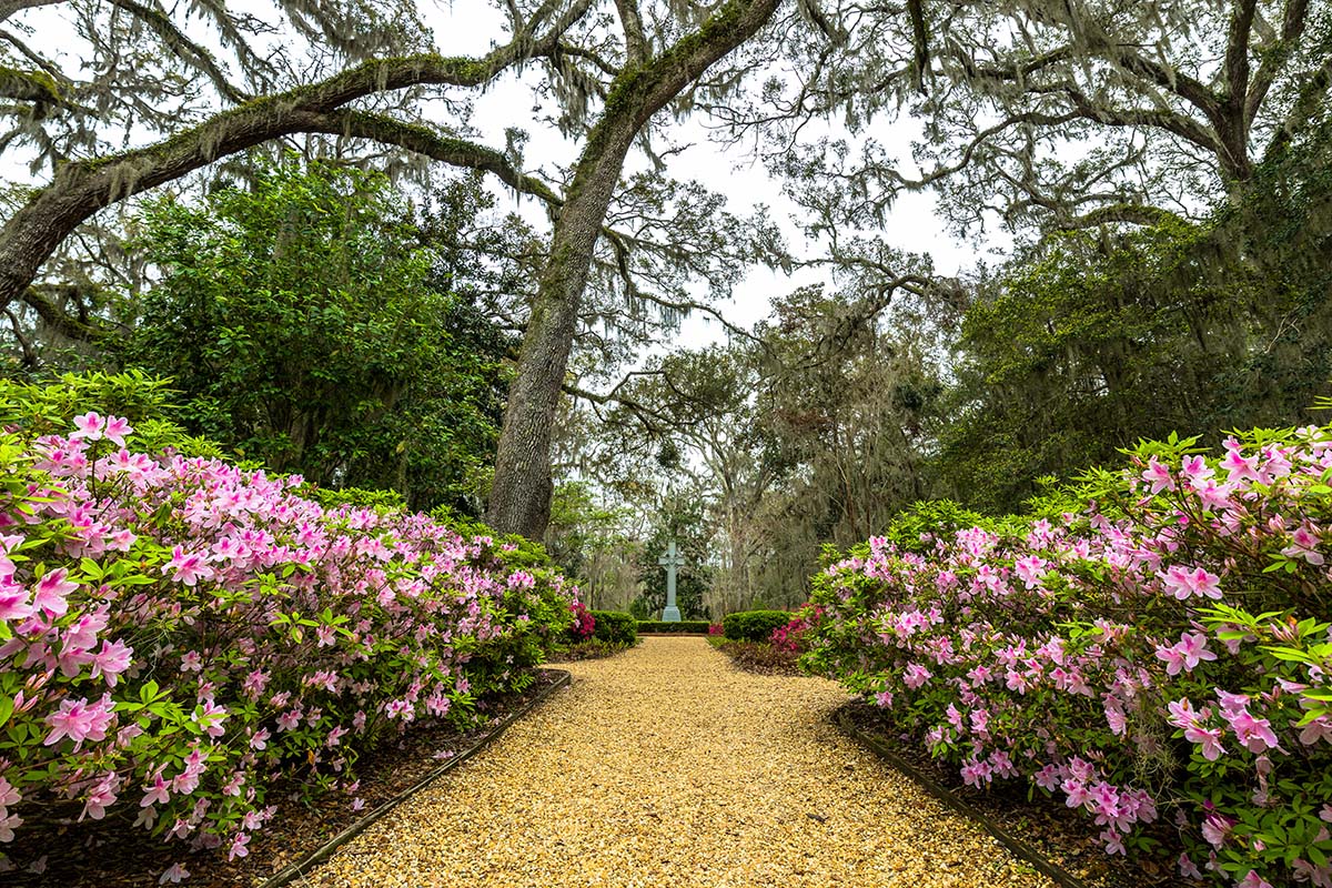 Thousands of colorful azaleas bloom each year at the Wesley Memorial Gardens on St. Simons Island, GA