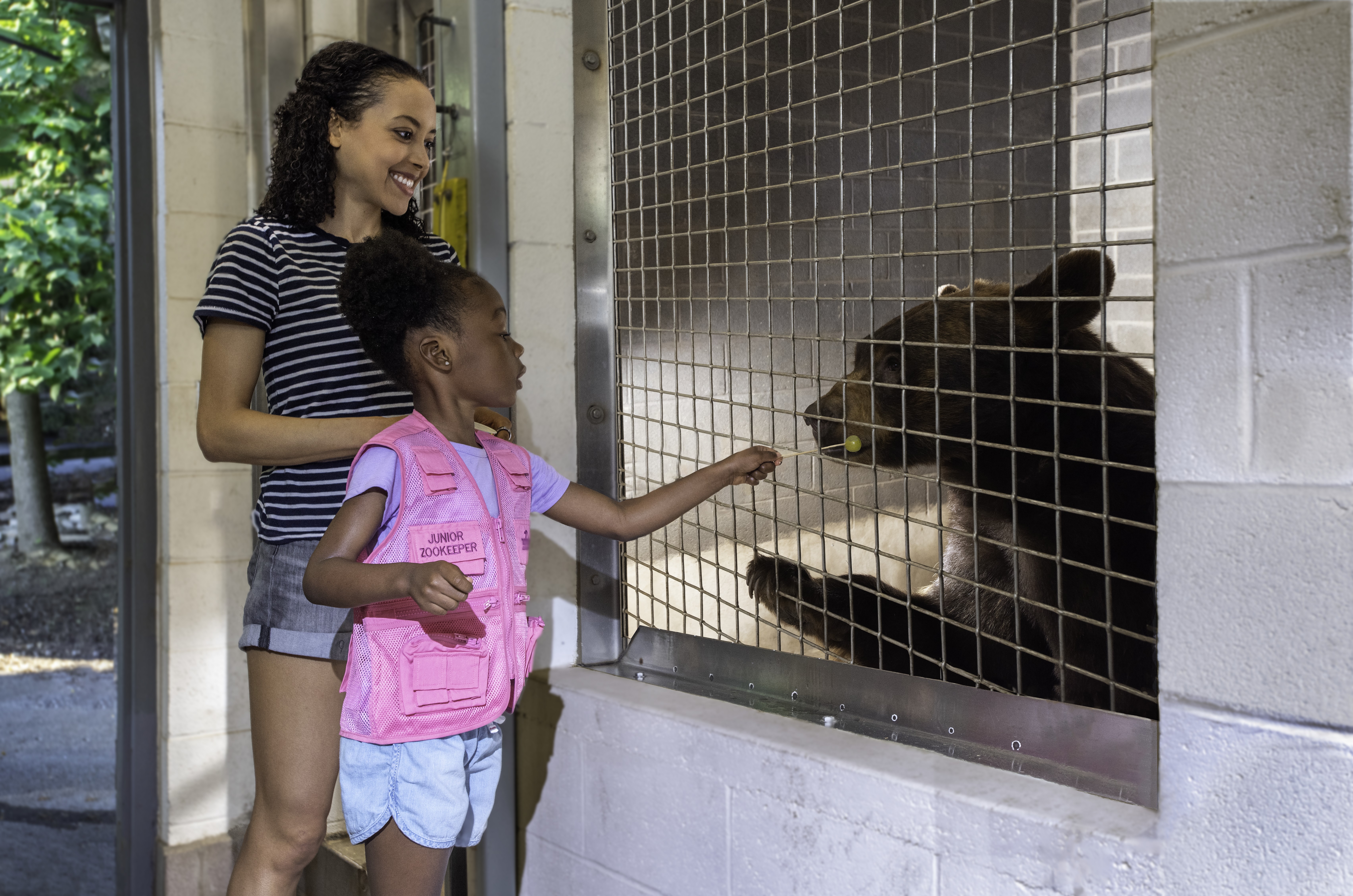 Zoo America Bear