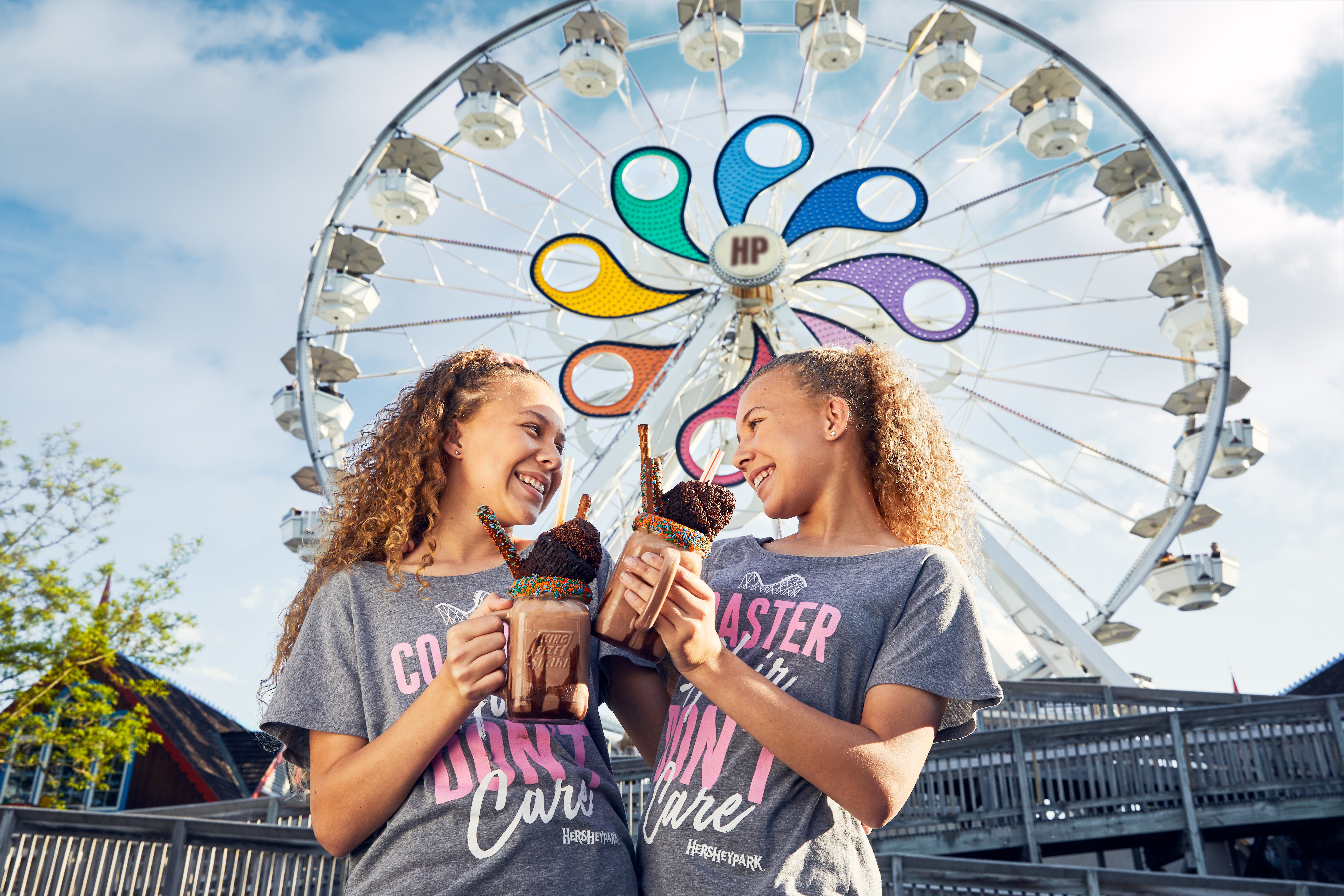 Ferris Wheel