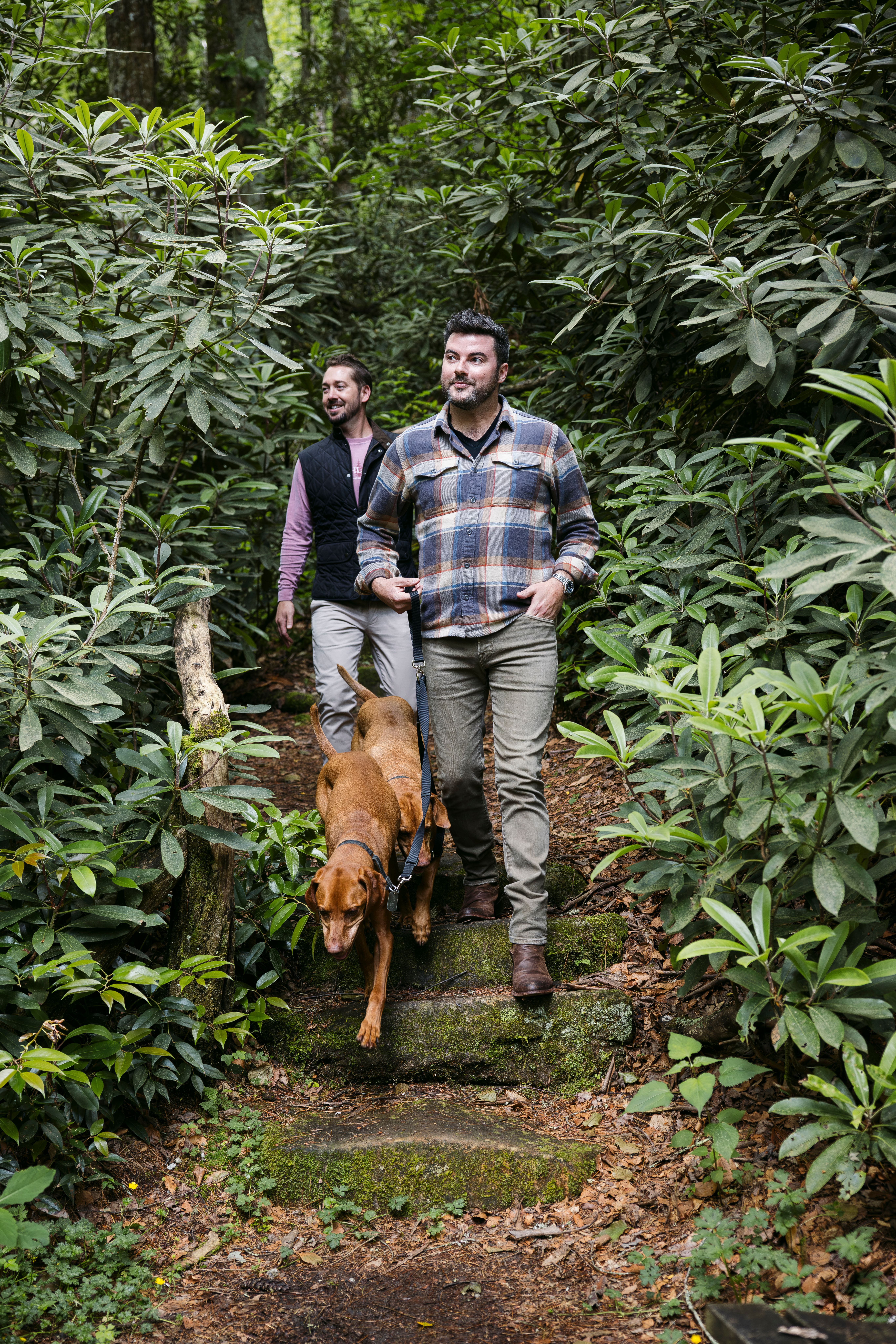 Two hikers and a dog walking a rhododendron-lined trail on the Highlands Plateau Greenway