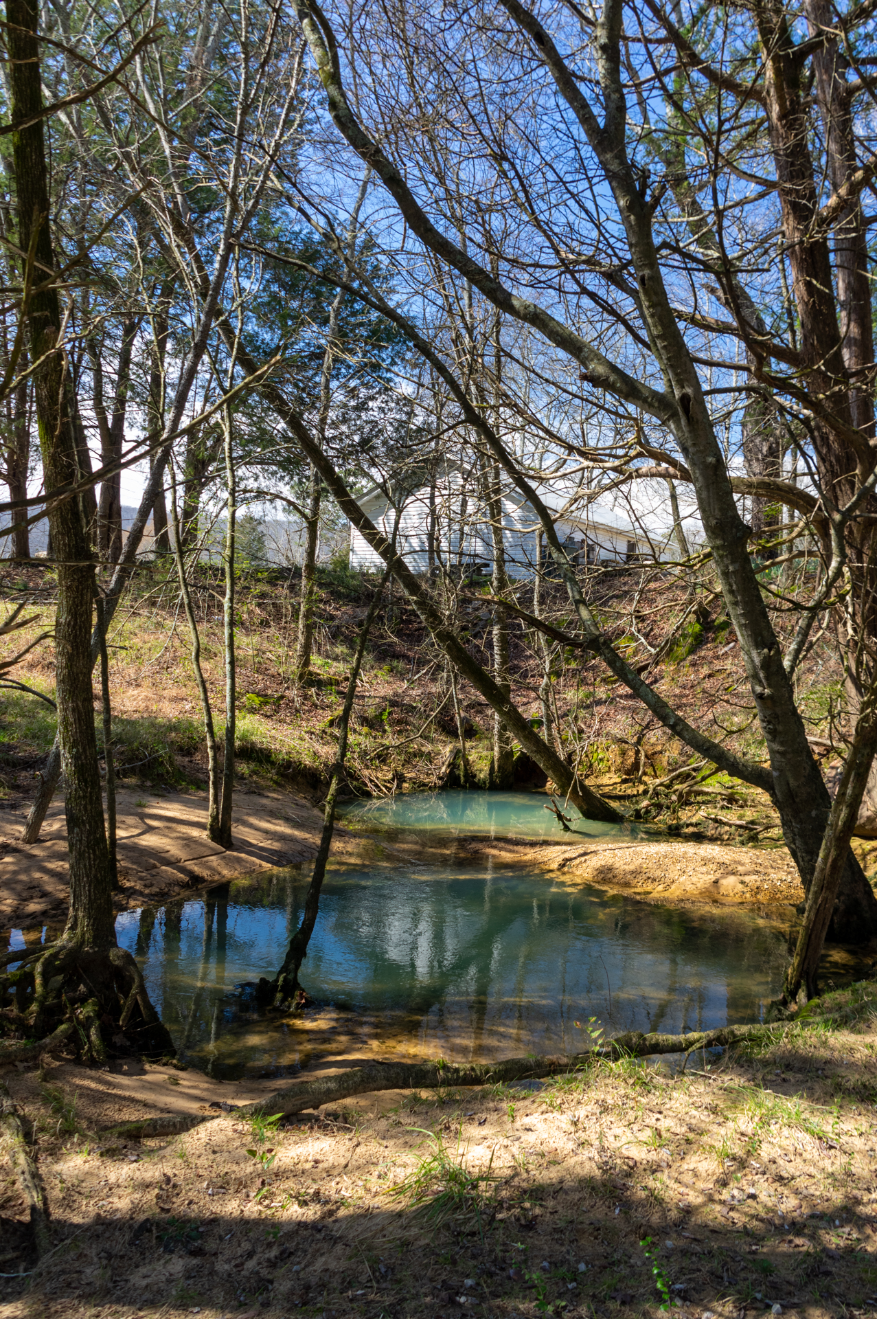 Discover Waterfalls at Bethel Spring Nature Preserve