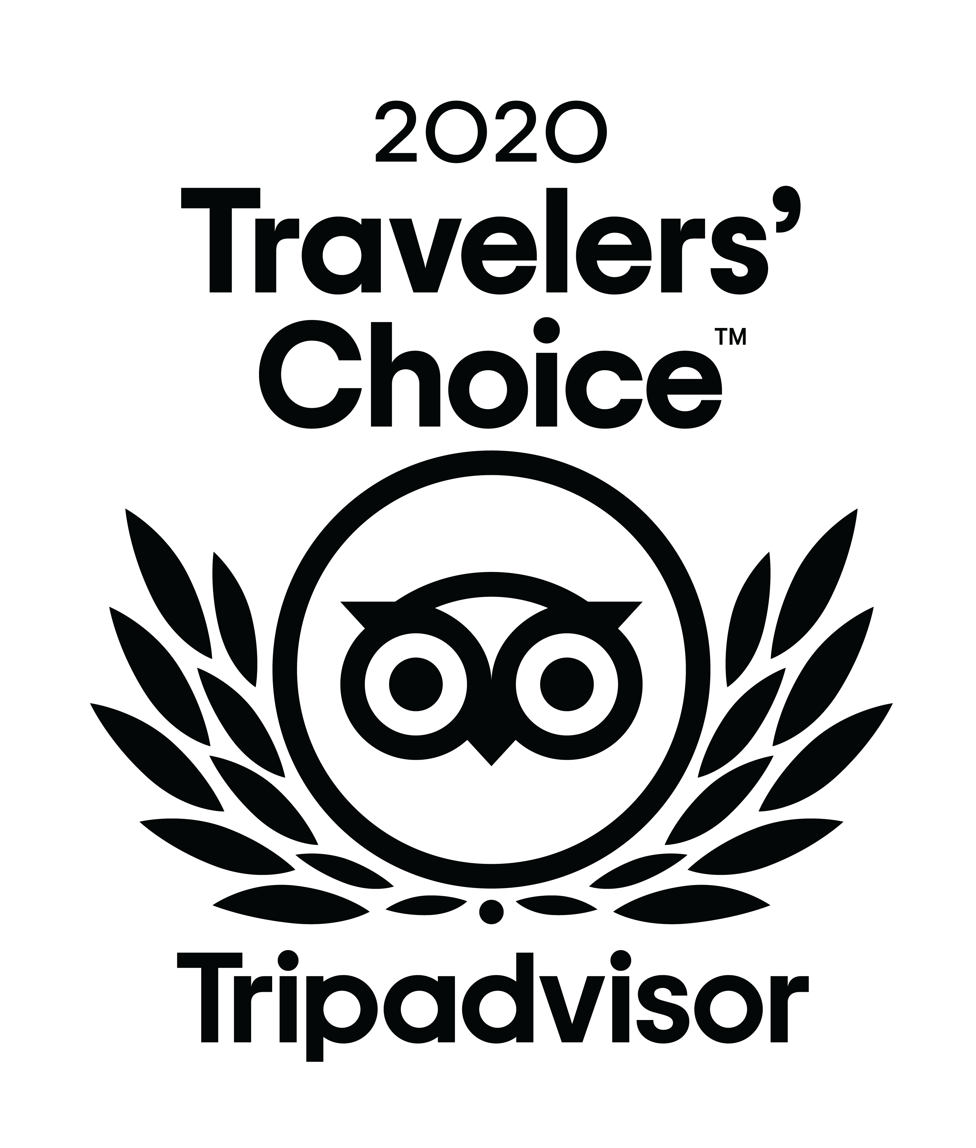 2020 travelers Choice award badge - Tripadvisor