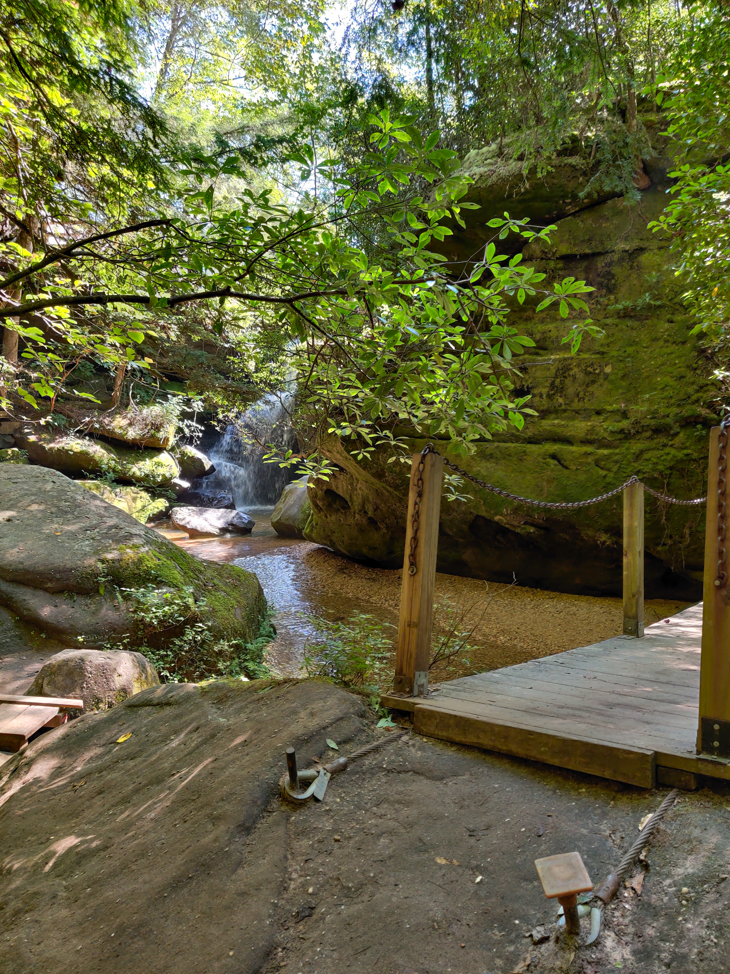 Dismals Canyon