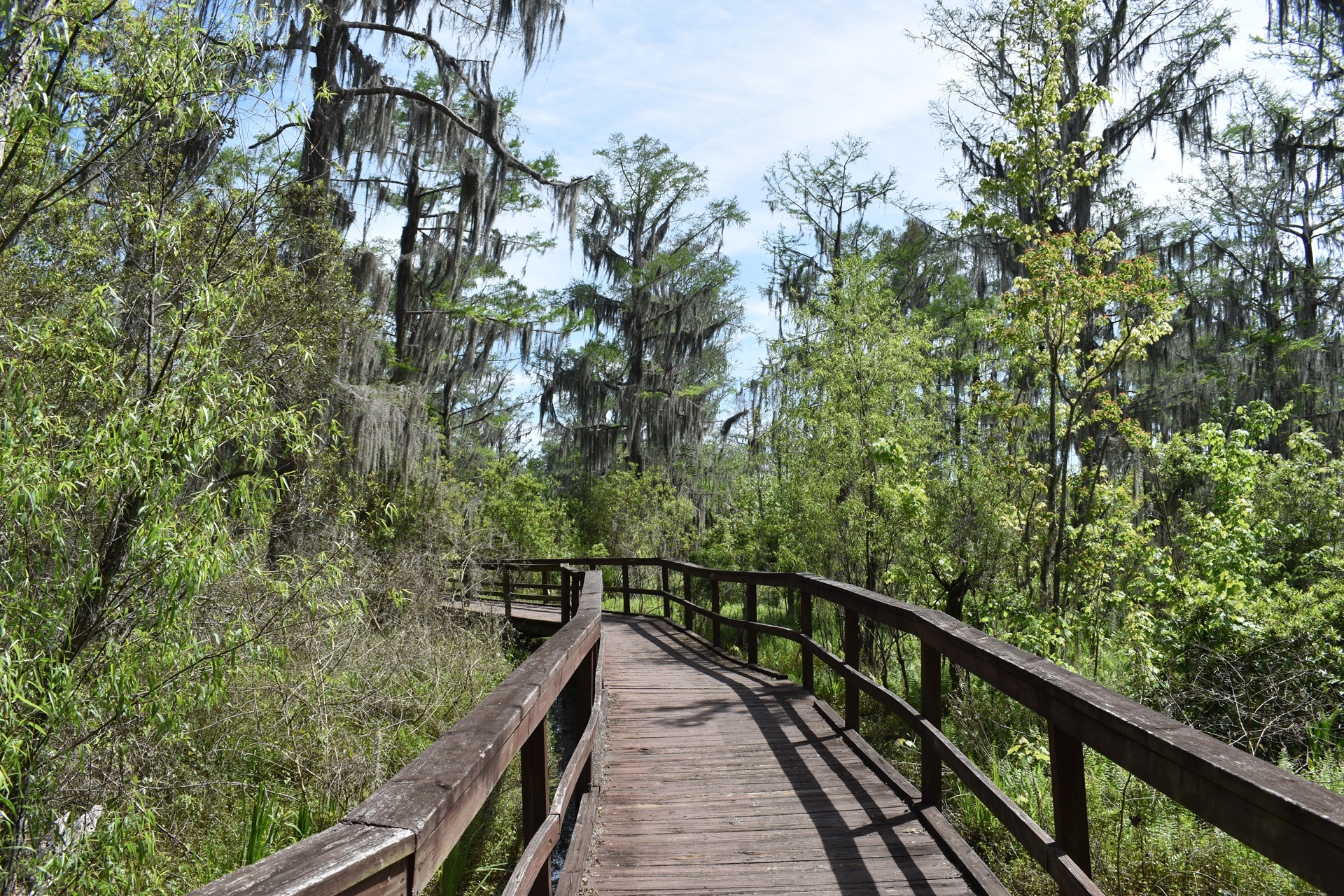 Wetland Trace