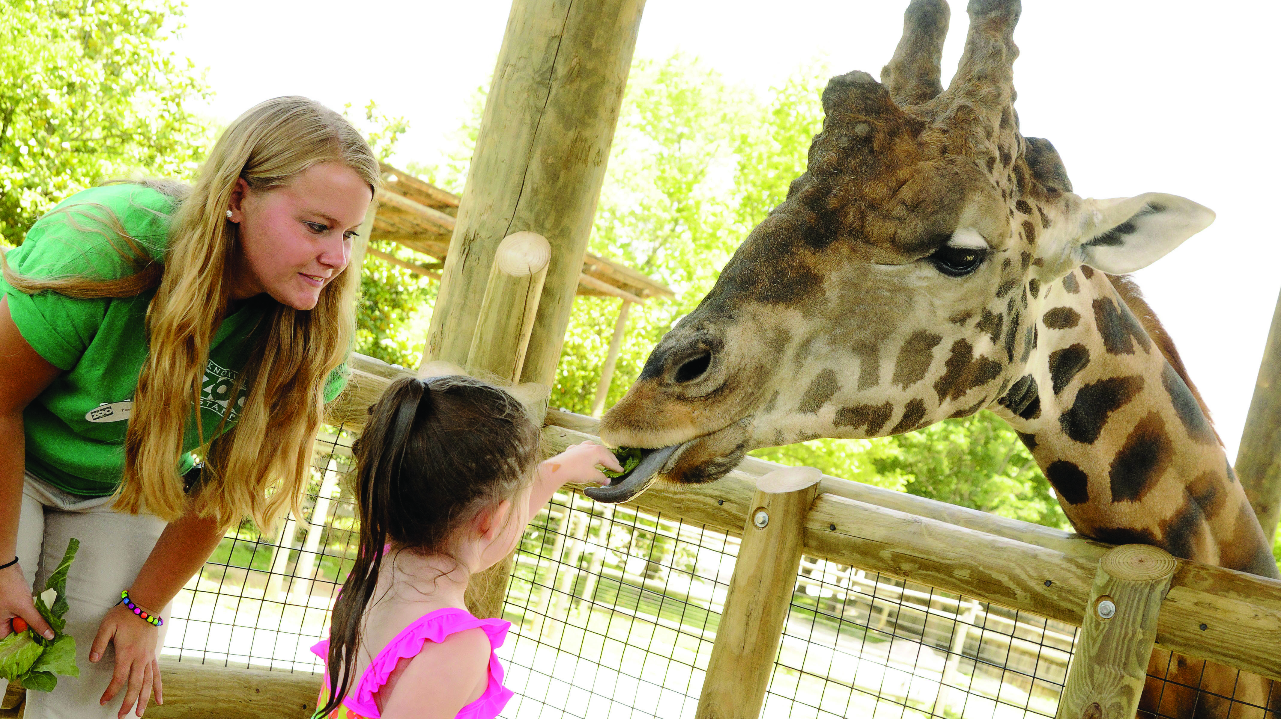 Zoo girl. Бешеный зоопарк. Zoo лето. Knoxville Zoo. A Day at the Zoo.