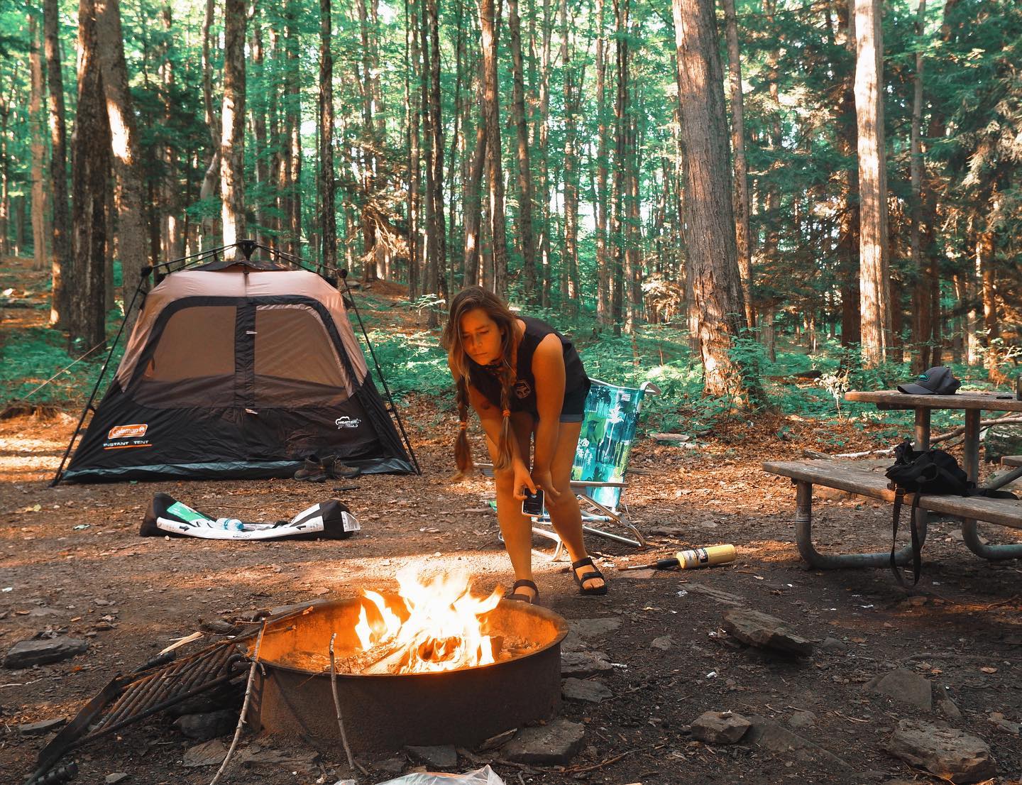 are dogs allowed at lackawanna state park