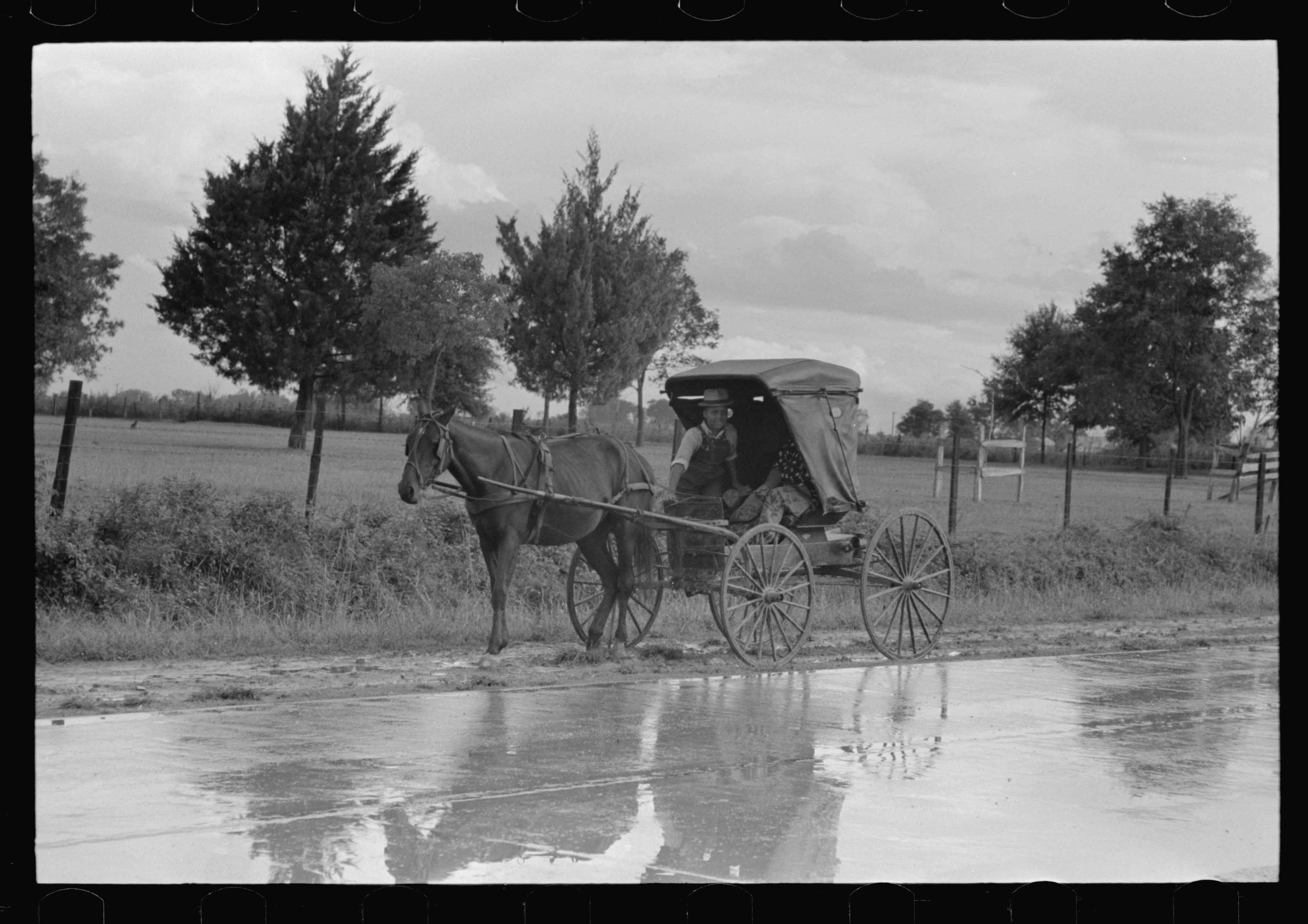 [Untitled-photo,-possibly-related-to_-Buggy-stopped-on-highway-near-Lafayette,-Louisiana]