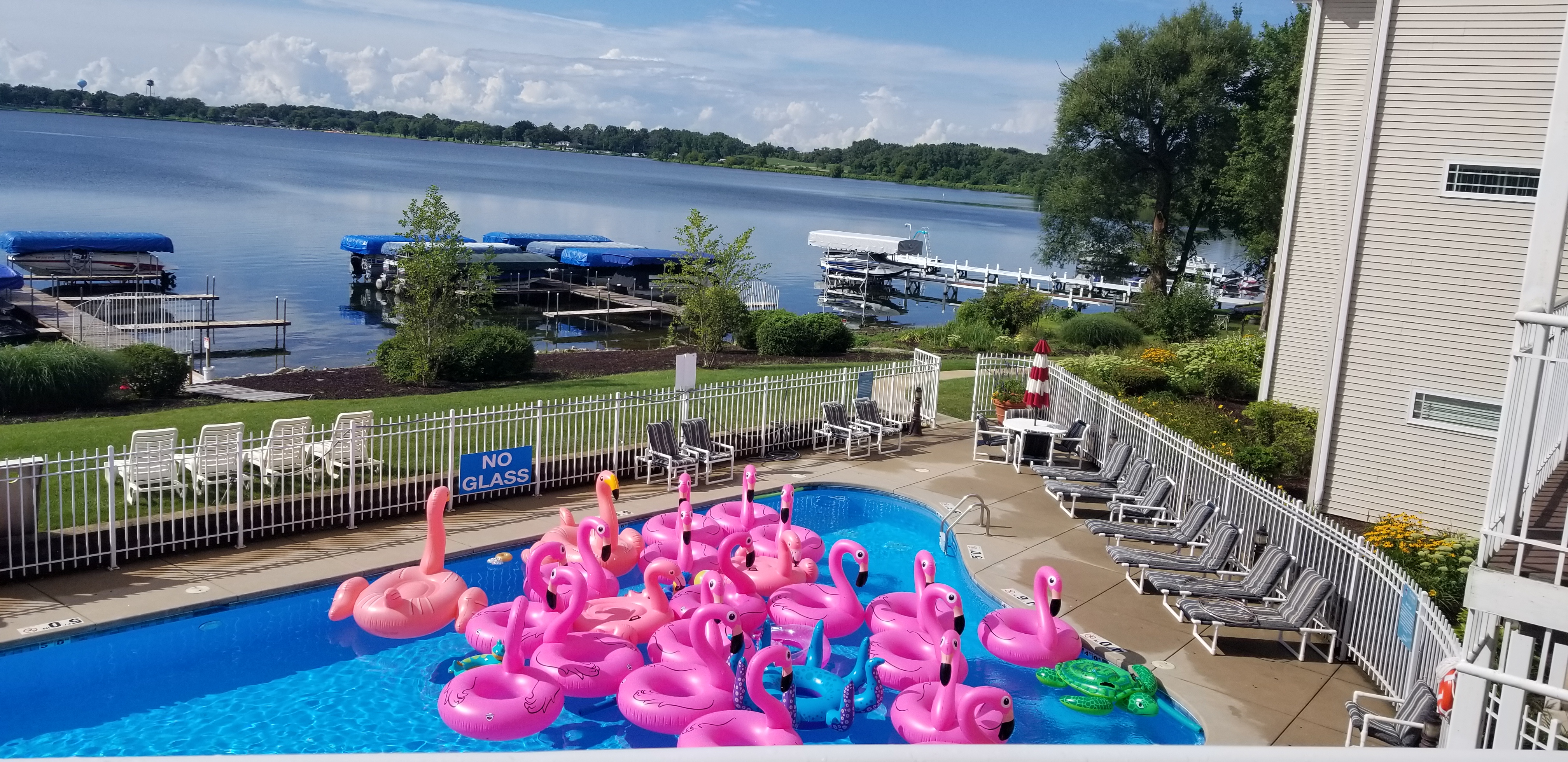 Delavan Lake Resort Pool with Flamingos