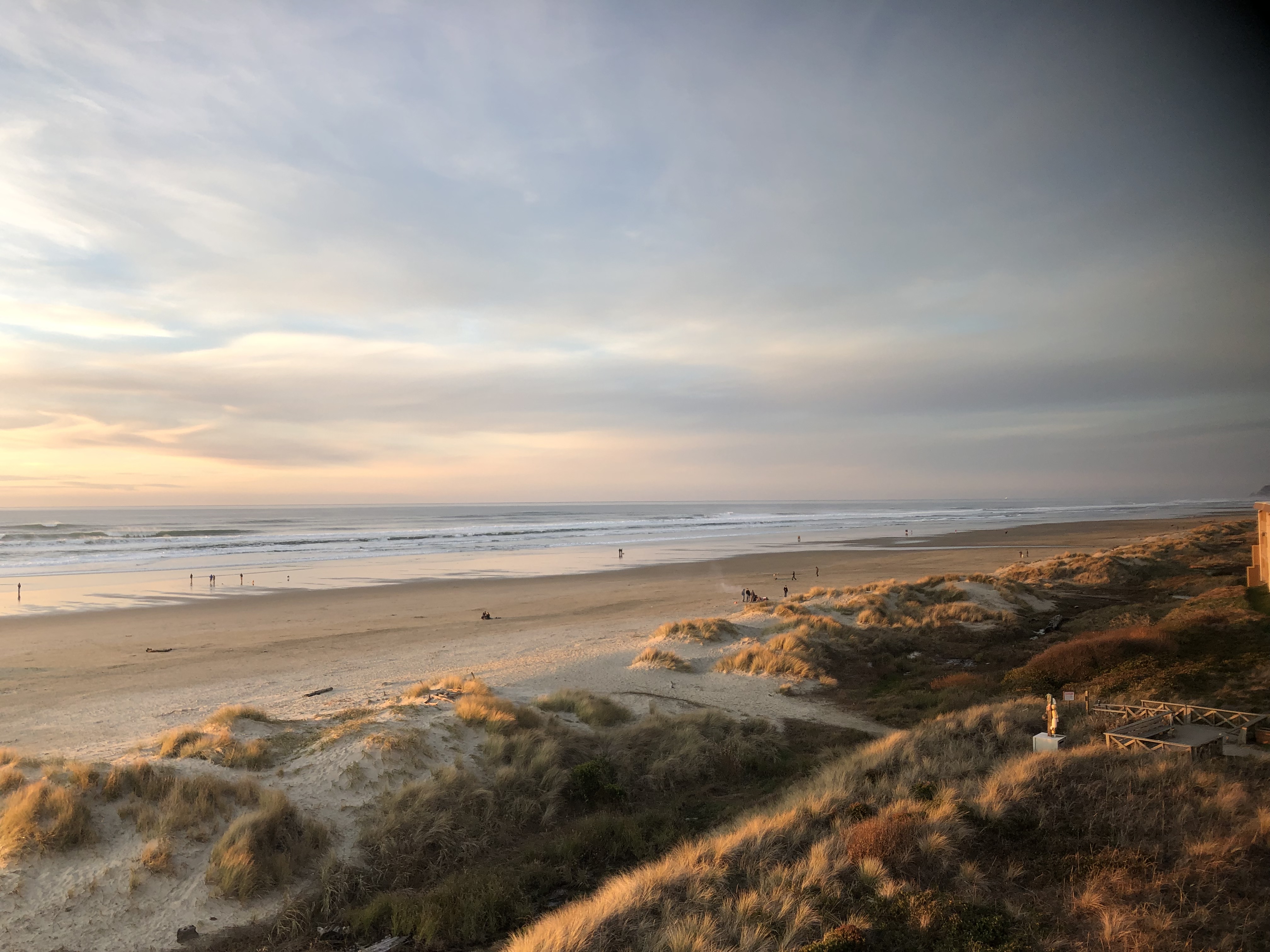 Beach at Driftwood Shores by Diana Wells