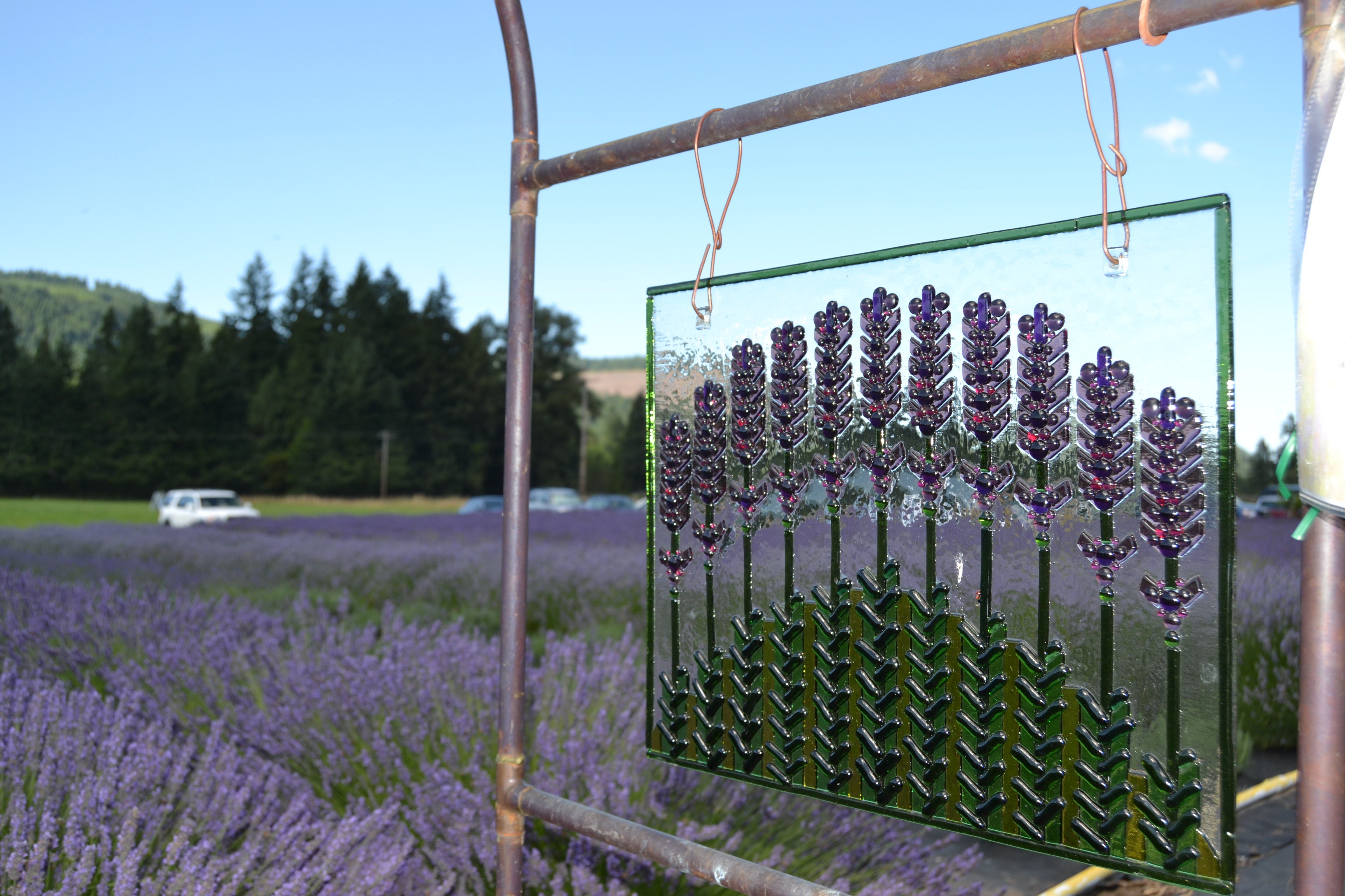 McKenzie River Lavender by Sally McAleer