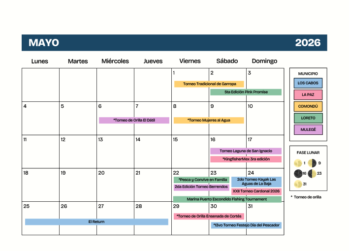 Imagen 13