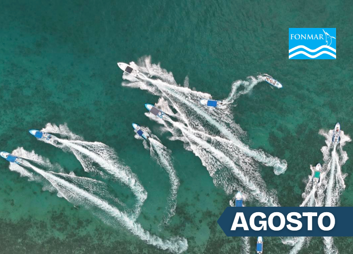 Imagen 18