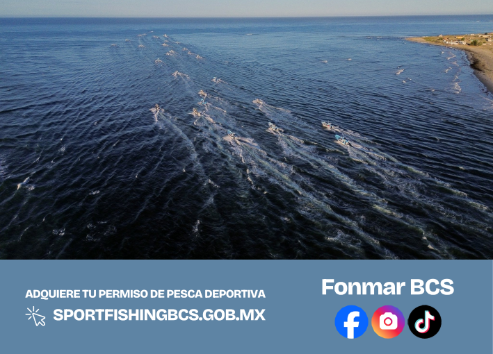 Imagen 28