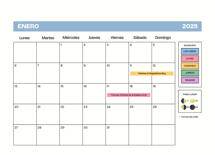 Imagen 5
