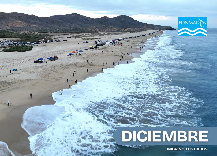 Imagen 26