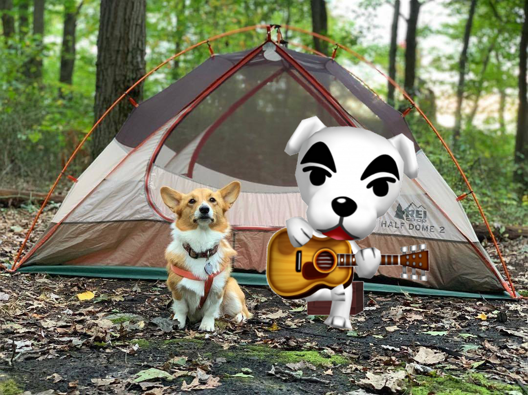 Animal Crossing Camping