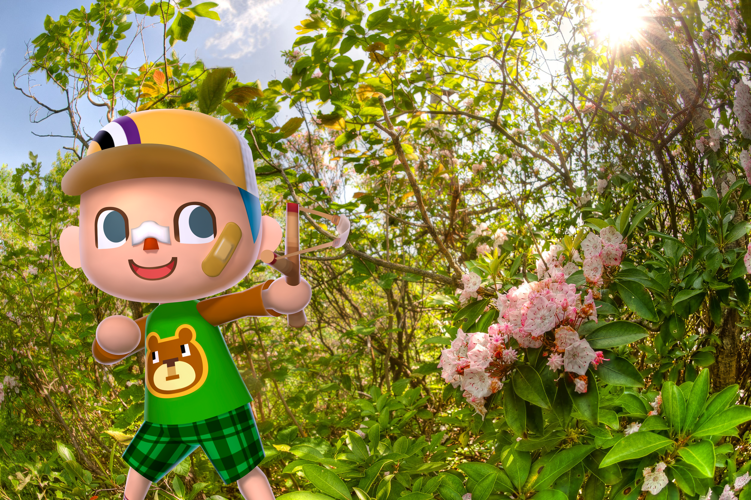 Animal Crossing Flowers