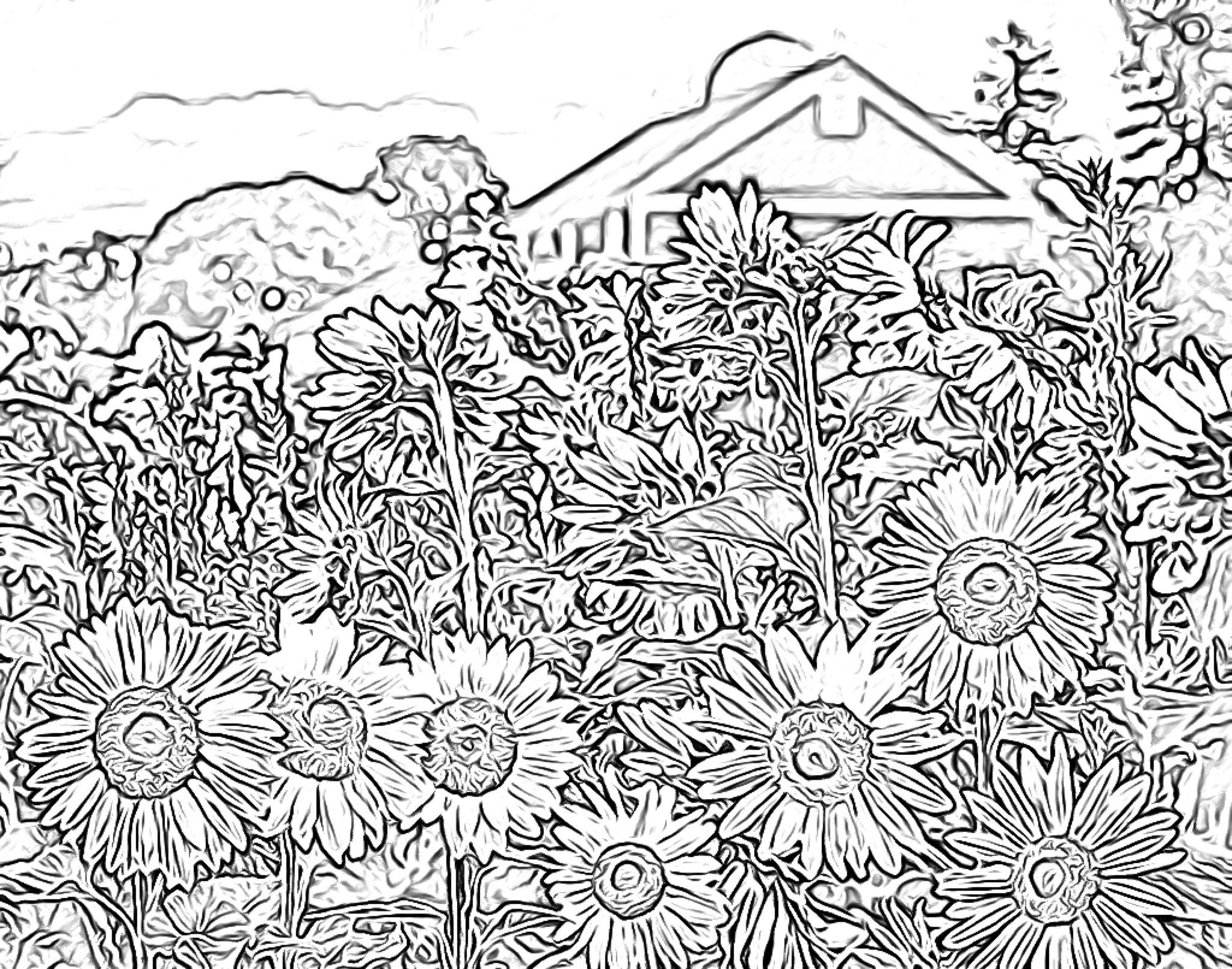 Coloring Pages Word Search And Zoom Backgrounds