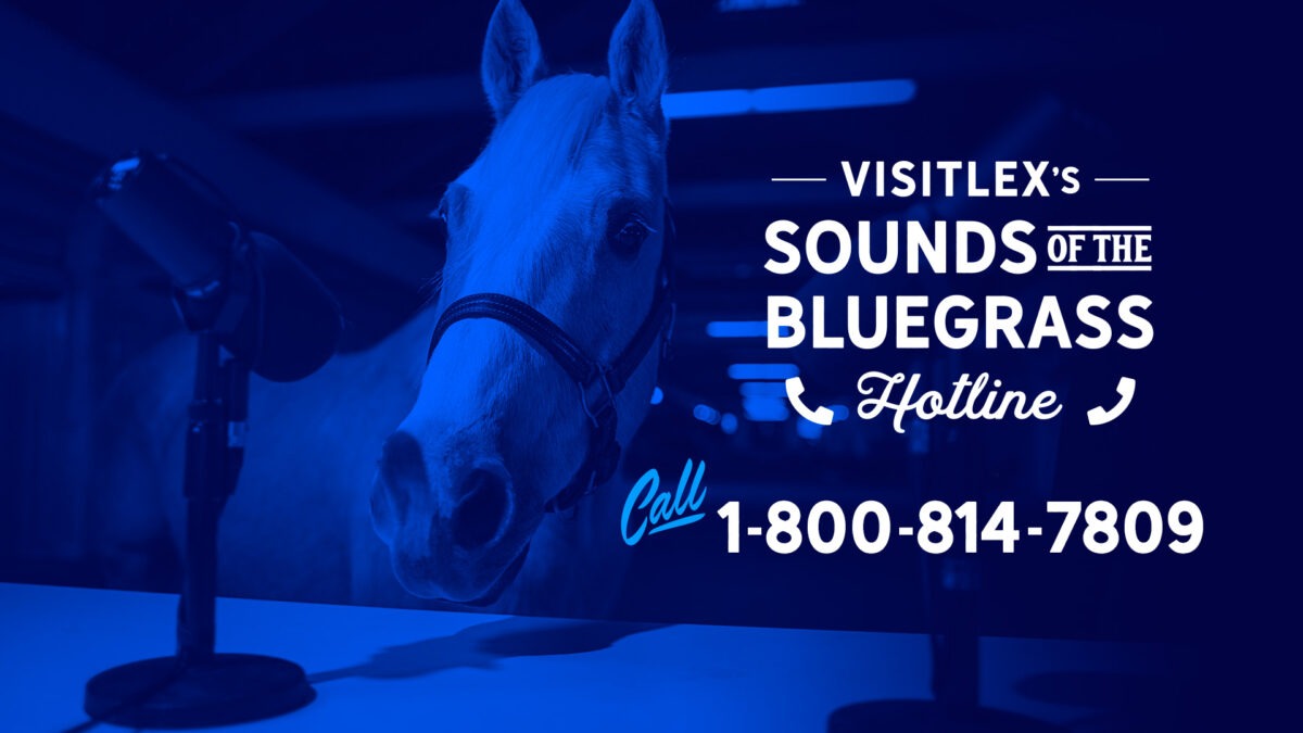 Blue tinted photo of a horse behind two microphones with the text "VisitLEX's sounds of the bluegrass hotline. 1-800-814-7809"