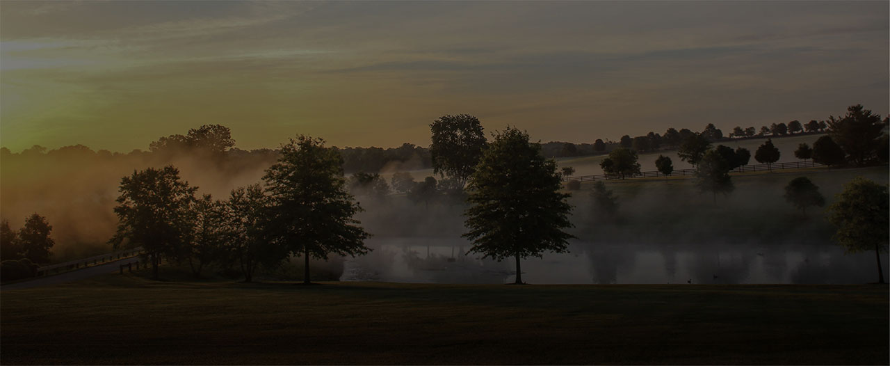 Field at sun rise, amidst the serene ambiance of a horse farm fog