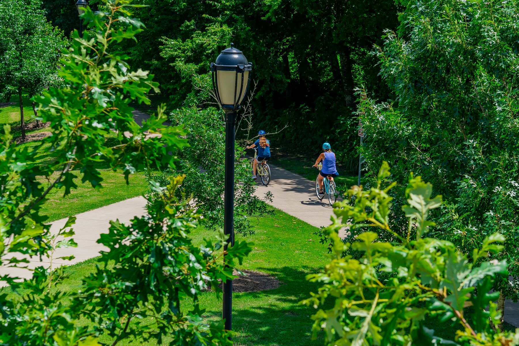 Two people riding bikes through a park
