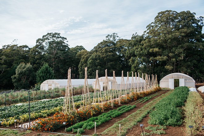 New luxury European-style Lodge to open near Daylesford