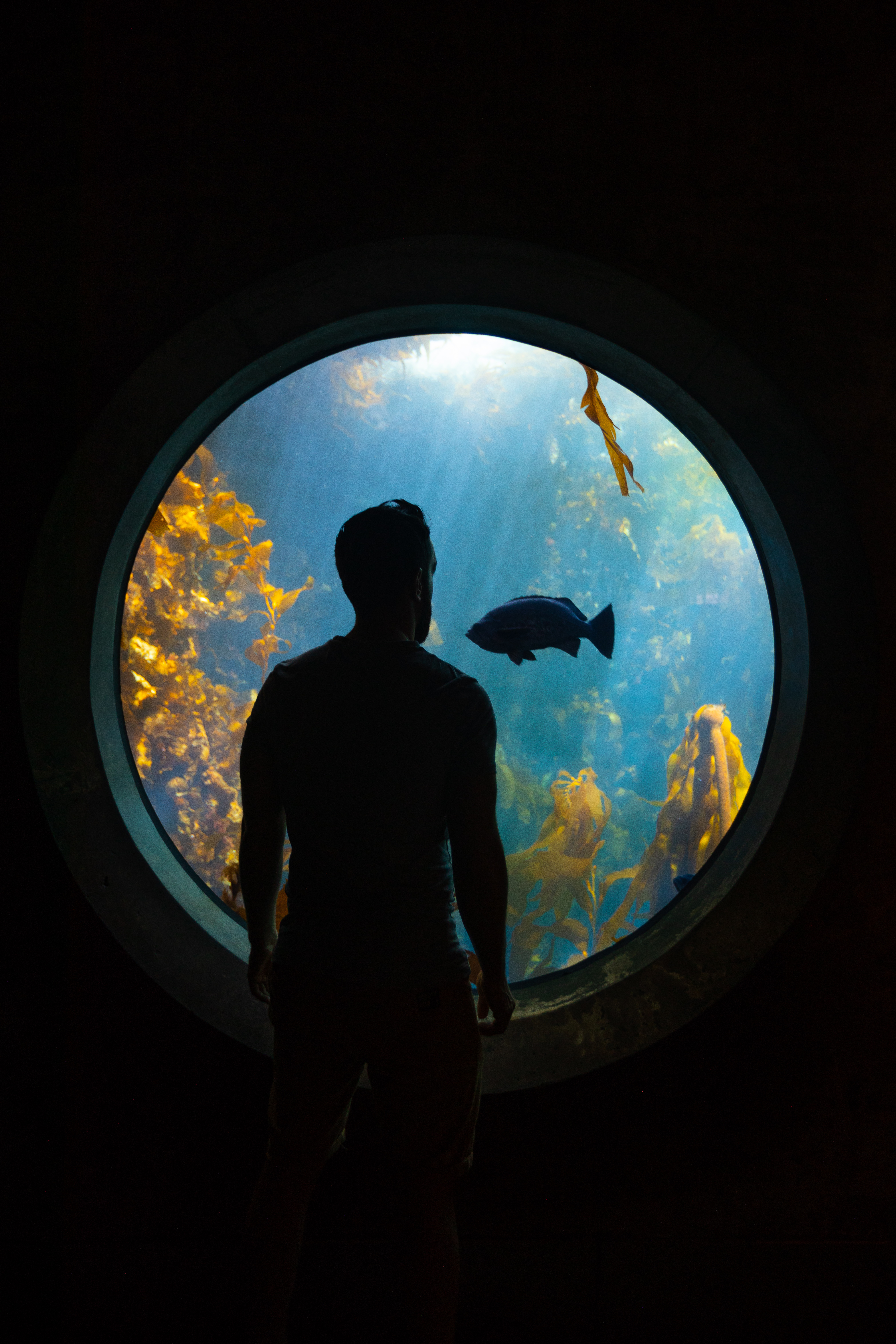 Callum Snape Aquarium Photo