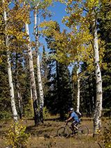 Buck/Dry Creek Trail mountain biking