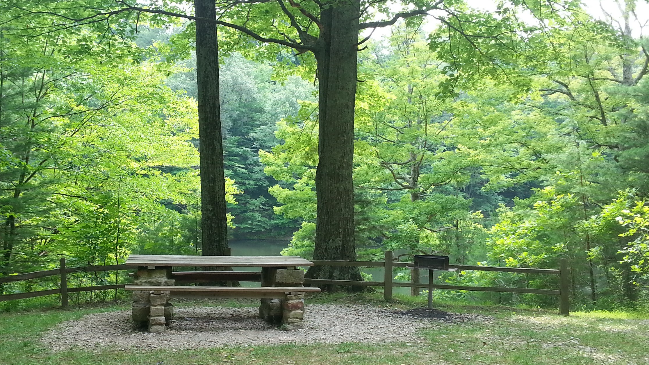 Picnic tables and grills are available at Morgan-Monroe State Forest and county and city parks.