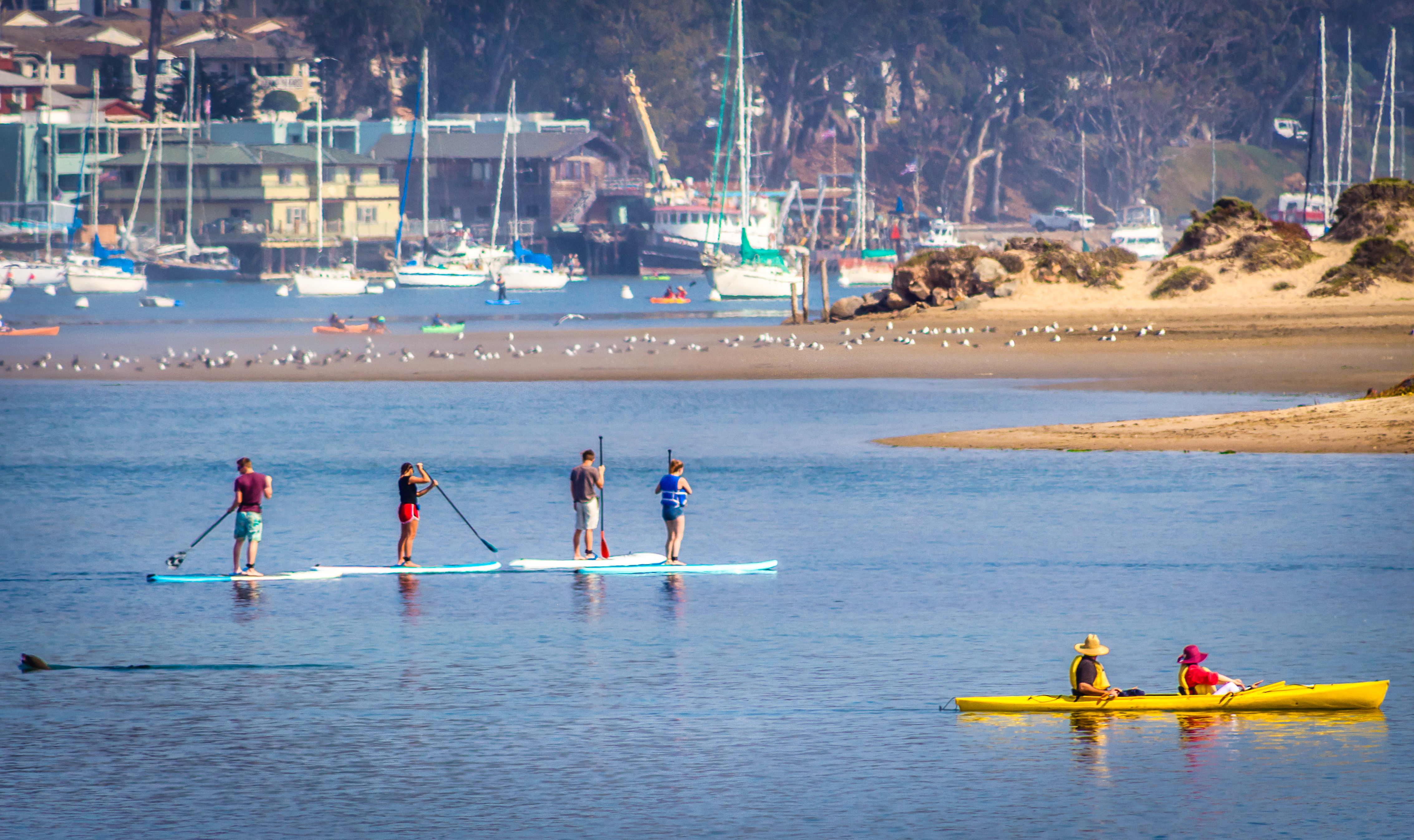 Kayak and Paddleboarders on the Bay