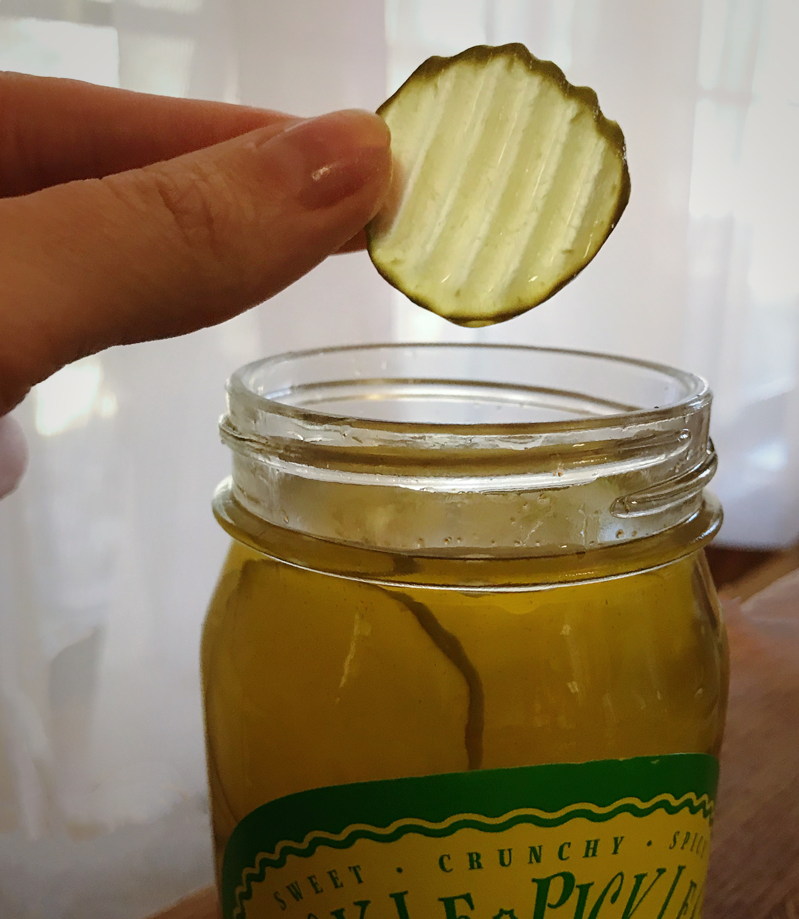 Fickle Pickle 5