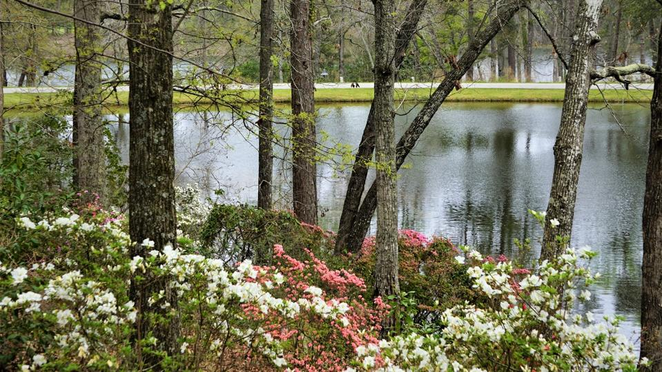 Pine Mountain, Georgia