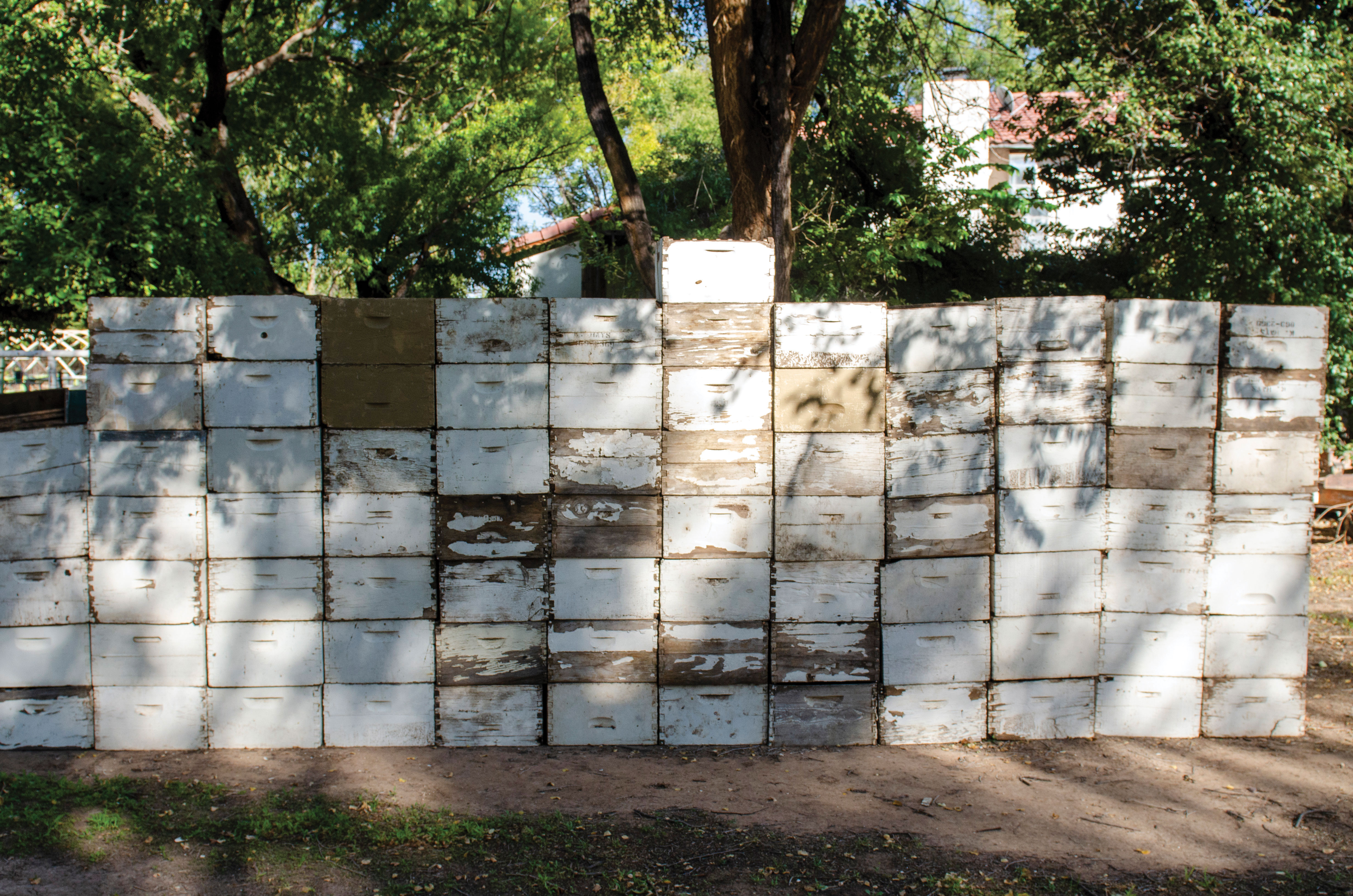 Several dozen of honeycomb boxes on the Hays's farm.