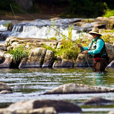 Fly Fishing, West Branch of Ausable River