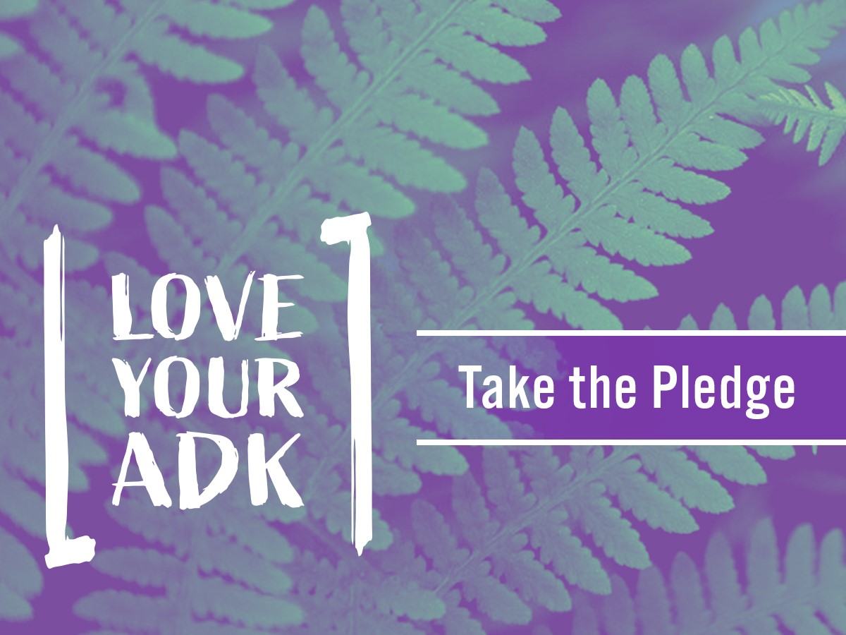 Love Your ADK - Take the Pledge